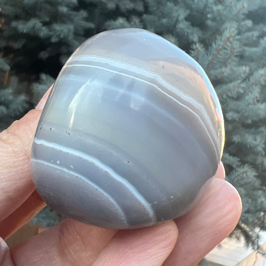Agat de Botswana palm stone m6A, druzy.ro, cristale 2
