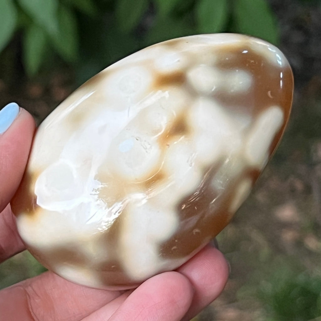 Agat Orca palmstone model 12, pietre semipretioase - druzy.ro 3 