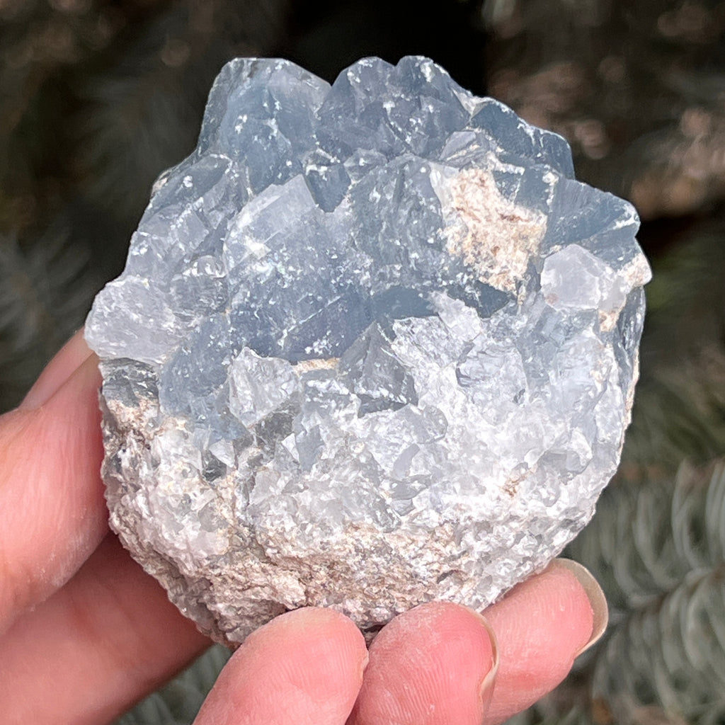 Celestit / celestina cluster m5, pietre semipretioase - druzy.ro 2 