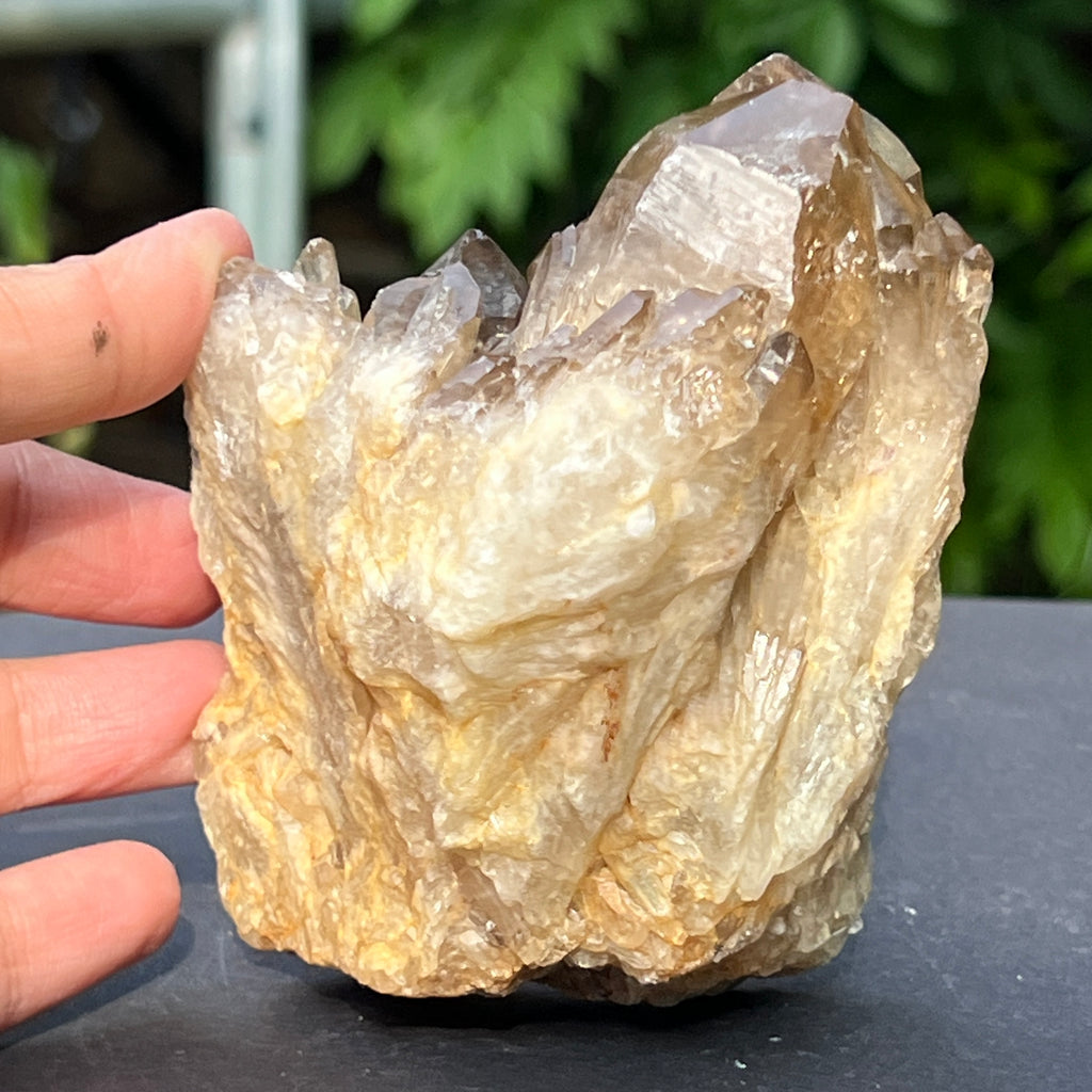 Citrin fumuriu din Congo – specimen natural, netratat | Model 5, pietre semipretioase - druzy.ro 3 