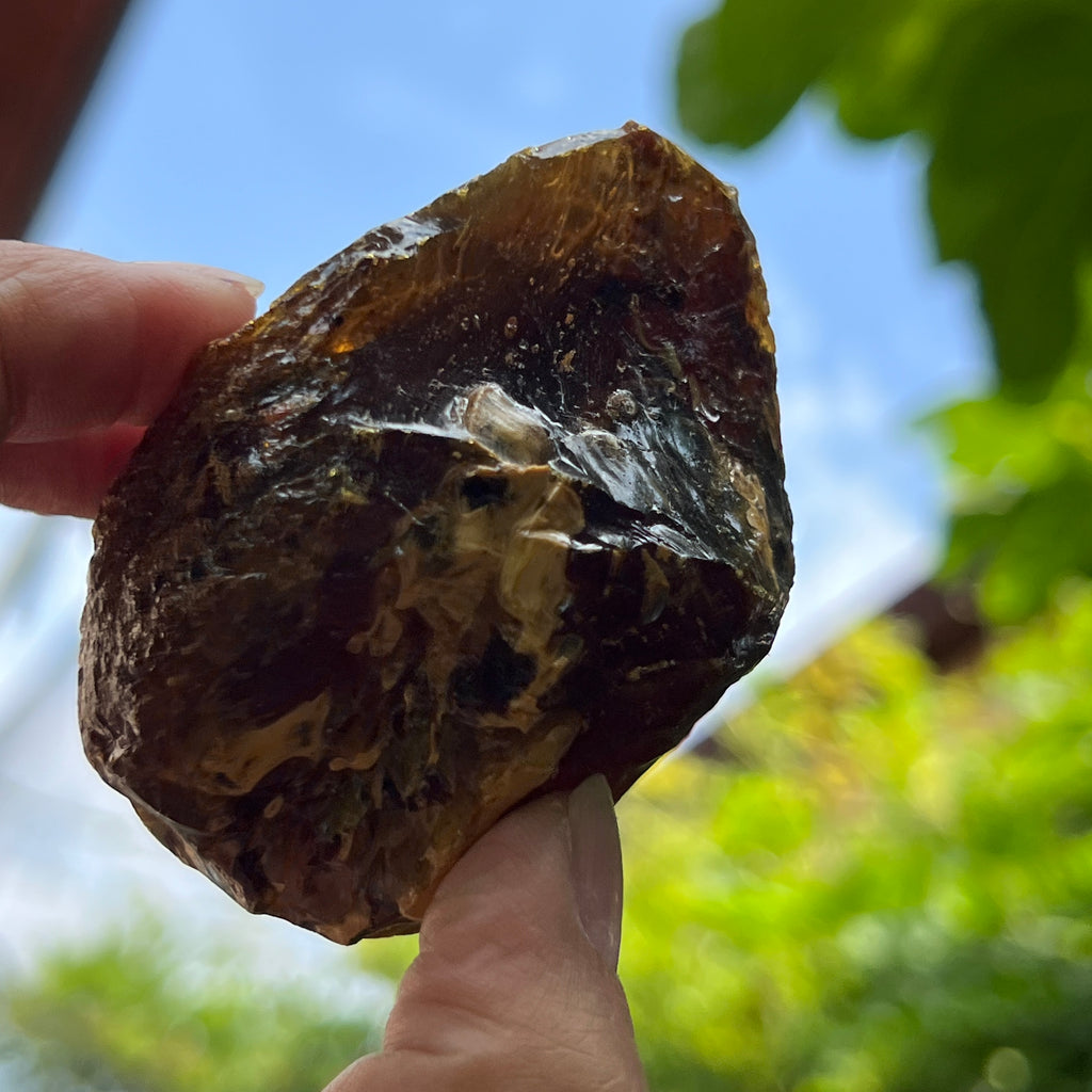 Chihlimbar fosil din Indonezia – Rășină naturală | Model 4, pietre semipretioase - druzy.ro 2 