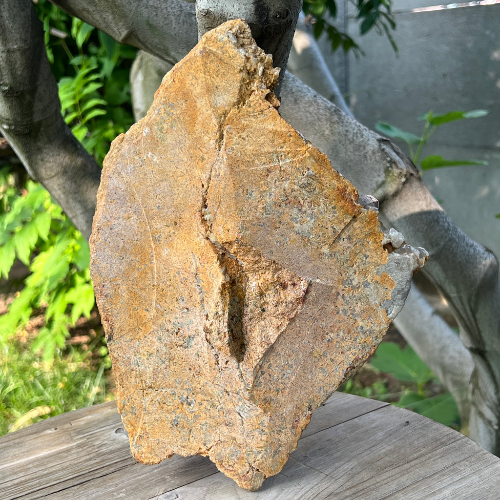 Specimen cluster cuart fumuriu m1, pietre semipretioase - druzy.ro 6 