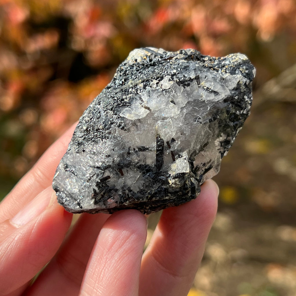 Turmalina neagra bruta cu insertii cuart Africa de Sud model 3, druzy.ro, cristale 4