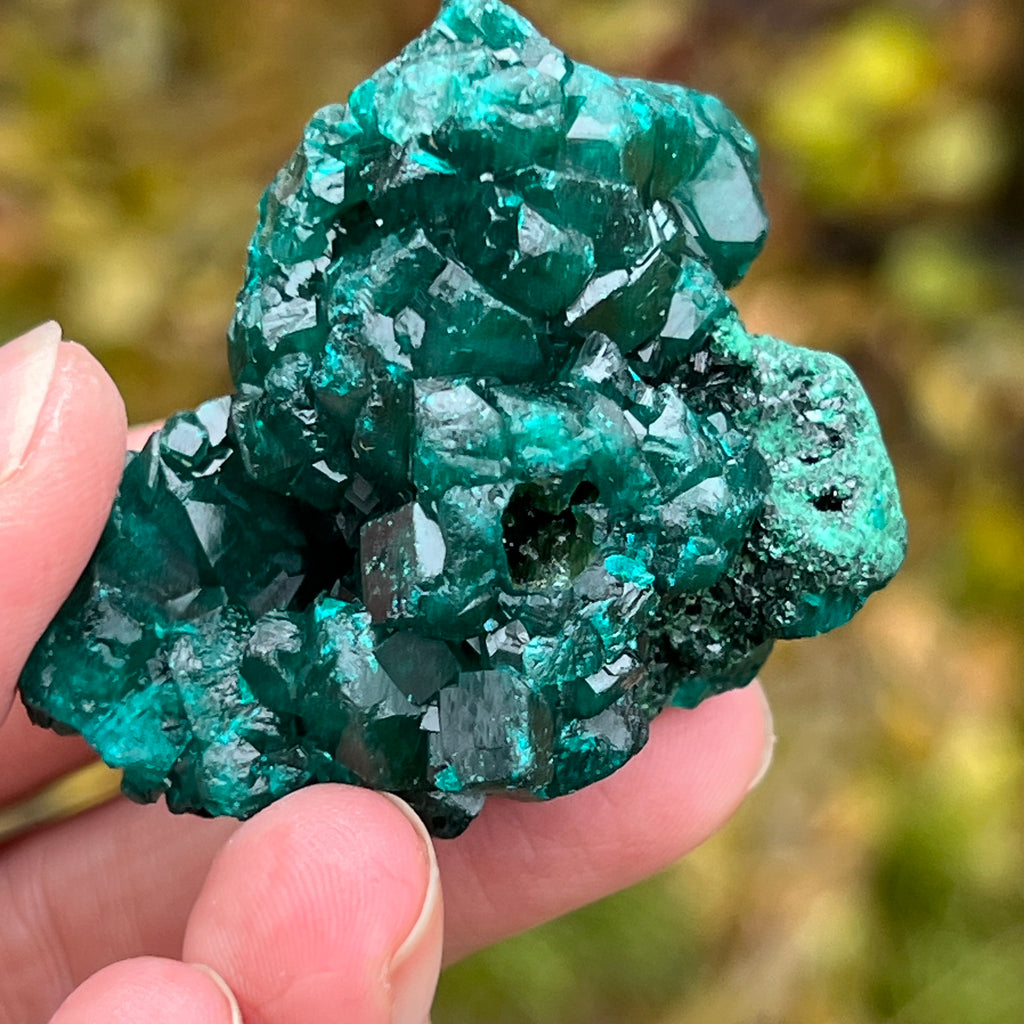 Dioptaz cluster din Congo model 6, pietre semipretioase - druzy.ro 1 