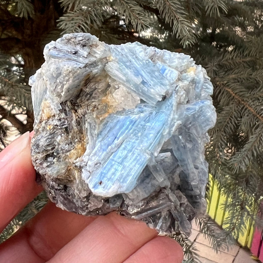 Kianit albastru (Cianit) piatra bruta din Zimbabwe model 7, druzy.ro, cristale 3
