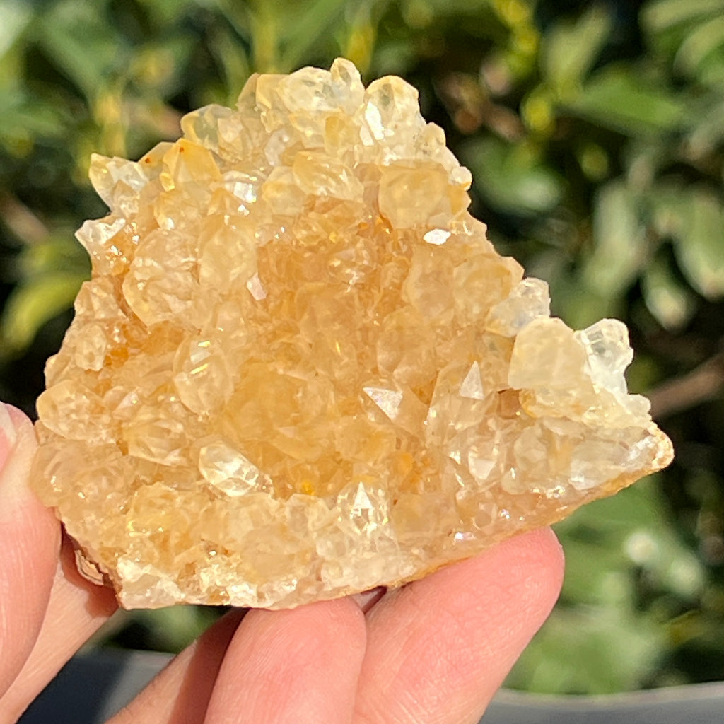 Cluster cuart lamaie Zambia, golden healer model 44, pietre semipretioase - druzy.ro 6 