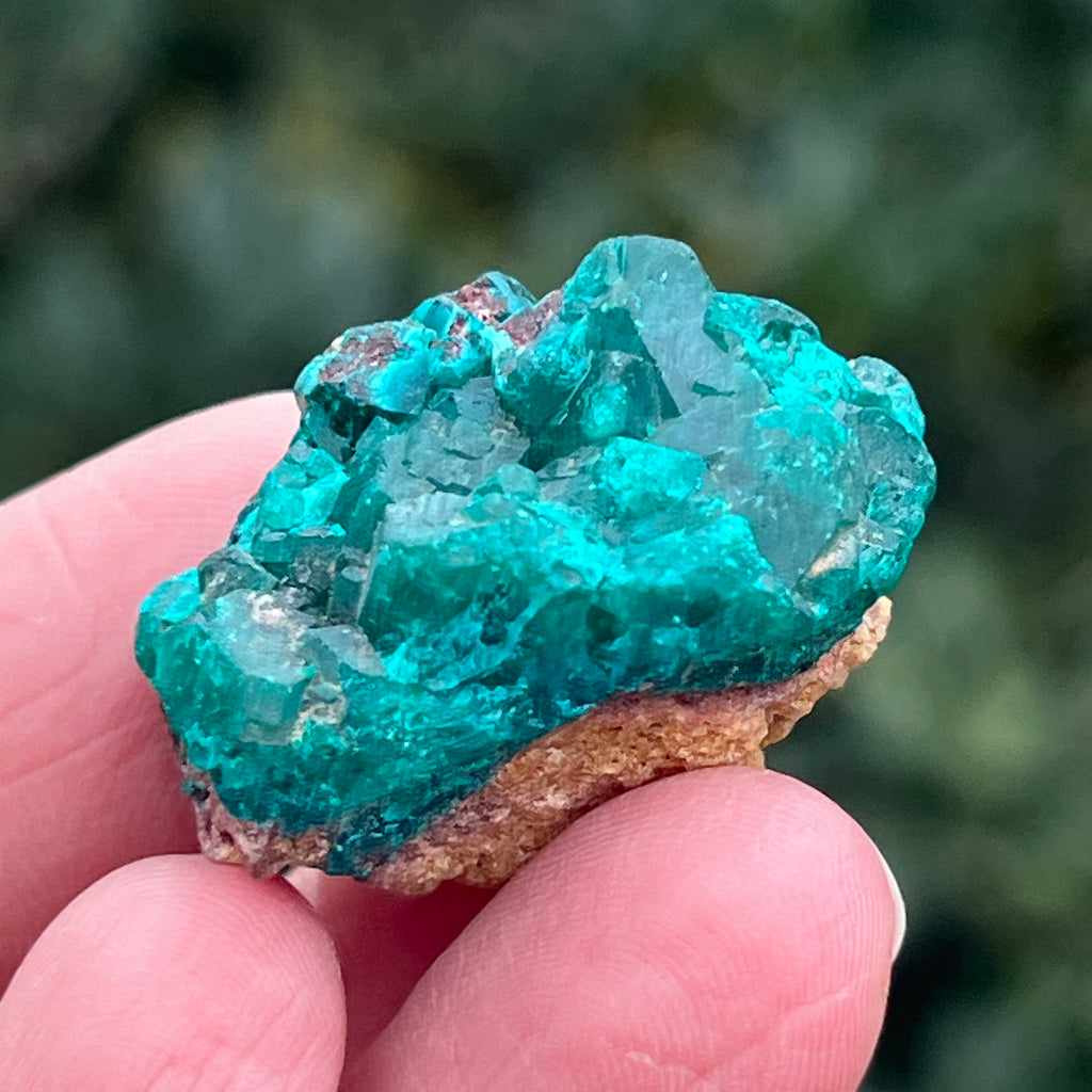 Dioptaz cluster din Congo model 20, pietre semipretioase - druzy.ro 1 