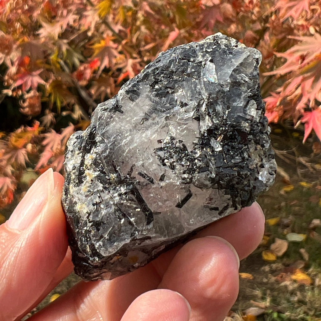 Turmalina neagra bruta cu insertii cuart Africa de Sud model 3, druzy.ro, cristale 2