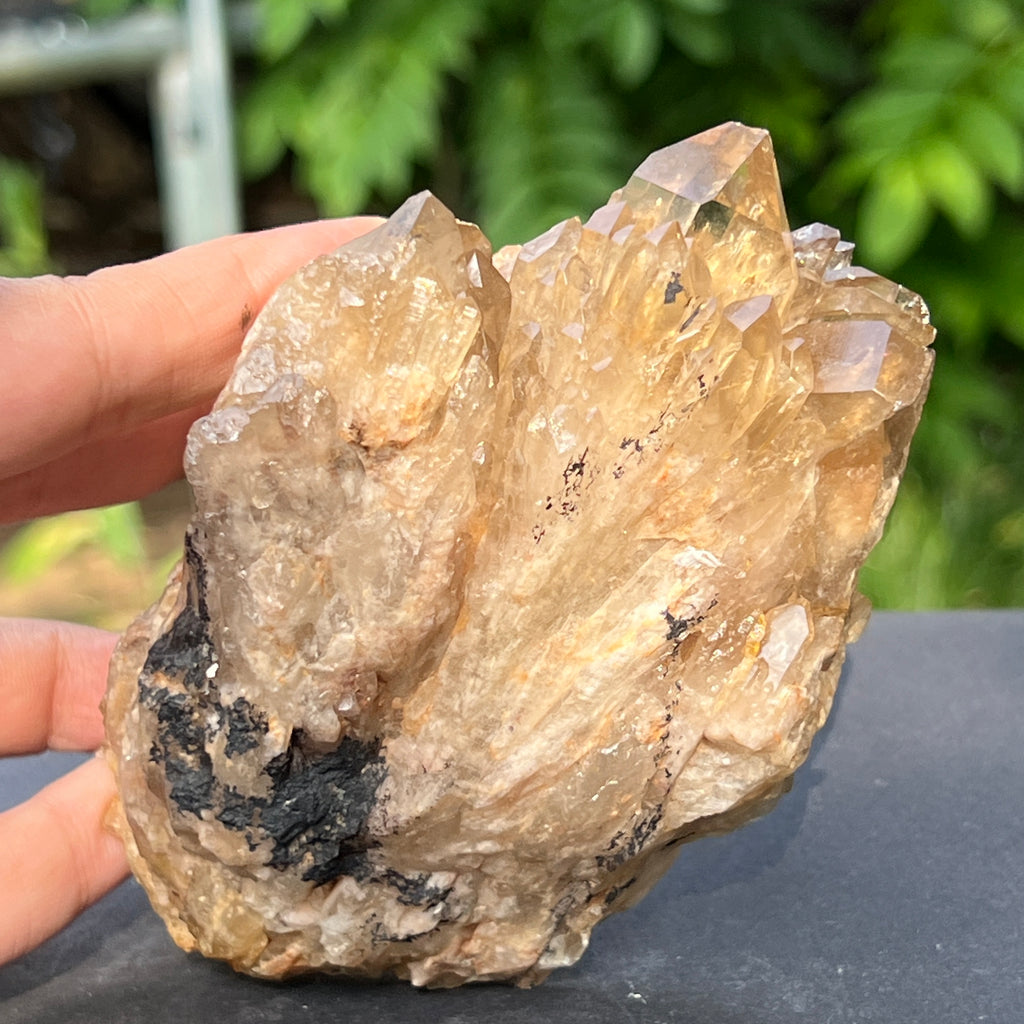 Citrin fumuriu din Congo – specimen natural, netratat | Model 6, pietre semipretioase - druzy.ro 3 