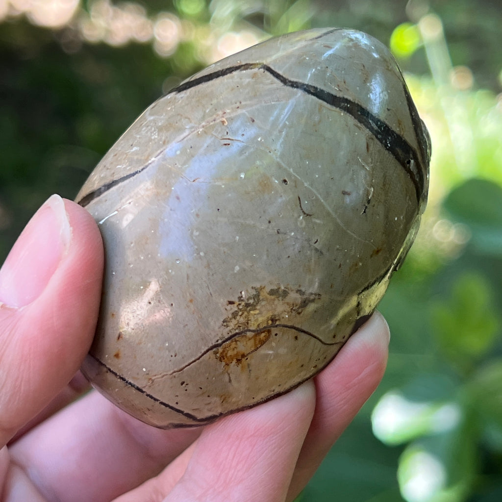 Ou Septaria din Madagascar , piatra dragonului | Model 3, pietre semipretioase - druzy.ro 6 