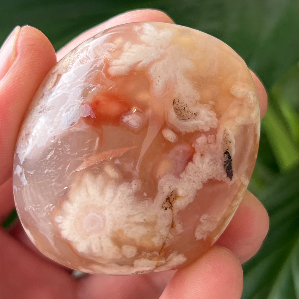 Palmstone agat coral floare rosu m23, pietre semipretioase - druzy.ro 1 