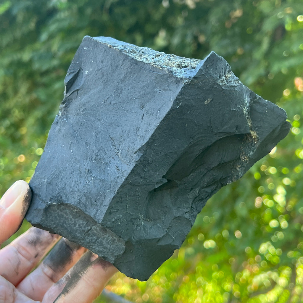 Shungit piatra bruta XXL model 6, pietre semipretioase - druzy.ro 3 