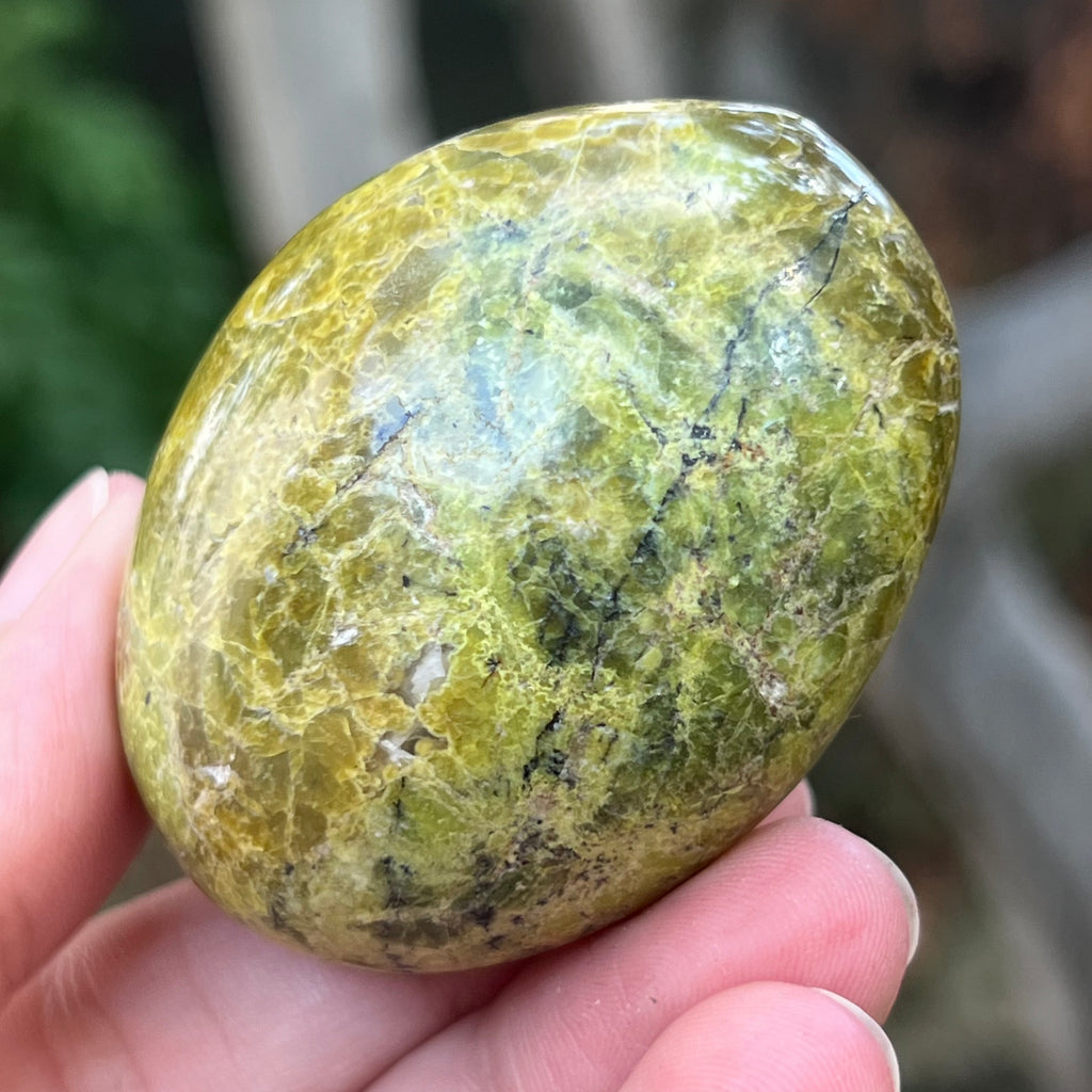 Opal verde palmstone m4, pietre semipretioase - druzy.ro 2 