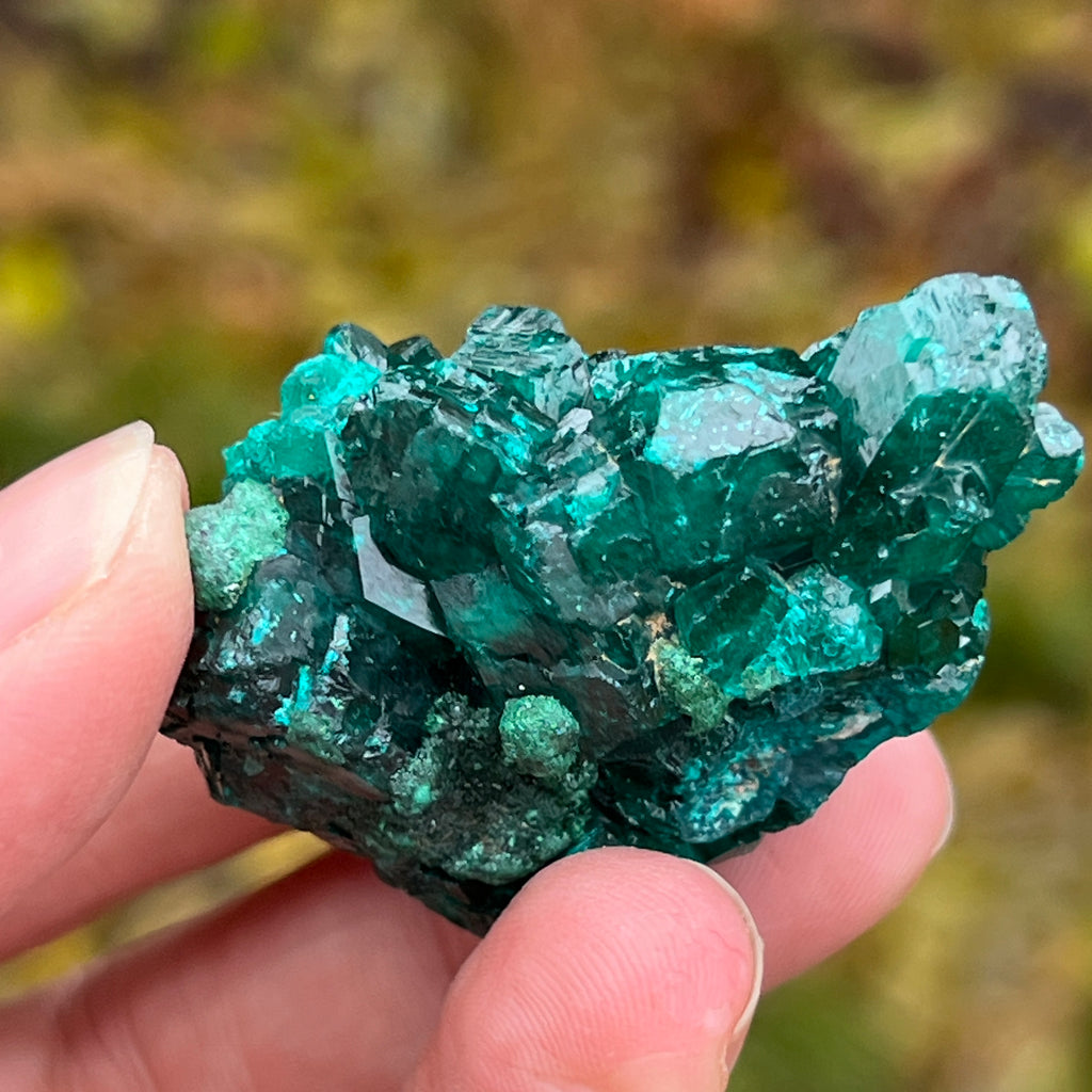 Dioptaz cluster din Congo model 5, pietre semipretioase - druzy.ro 4 