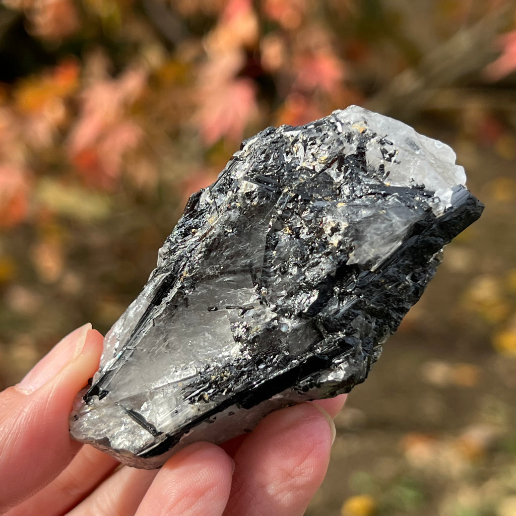 Turmalina neagra bruta cu insertii cuart Africa de Sud model 1, druzy.ro, cristale 3