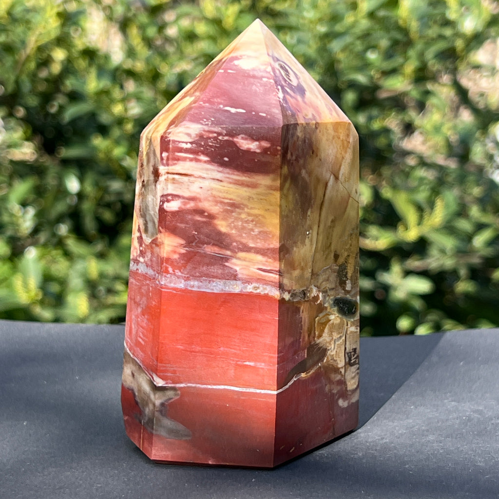 Obelisc lemn pietrificat m1, pietre semipretioase - druzy.ro 2 