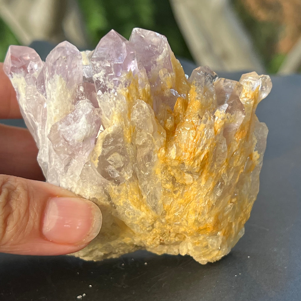 Cluster ametist sweet model 5a/5, din Zambia, pietre semipretioase - druzy.ro 3