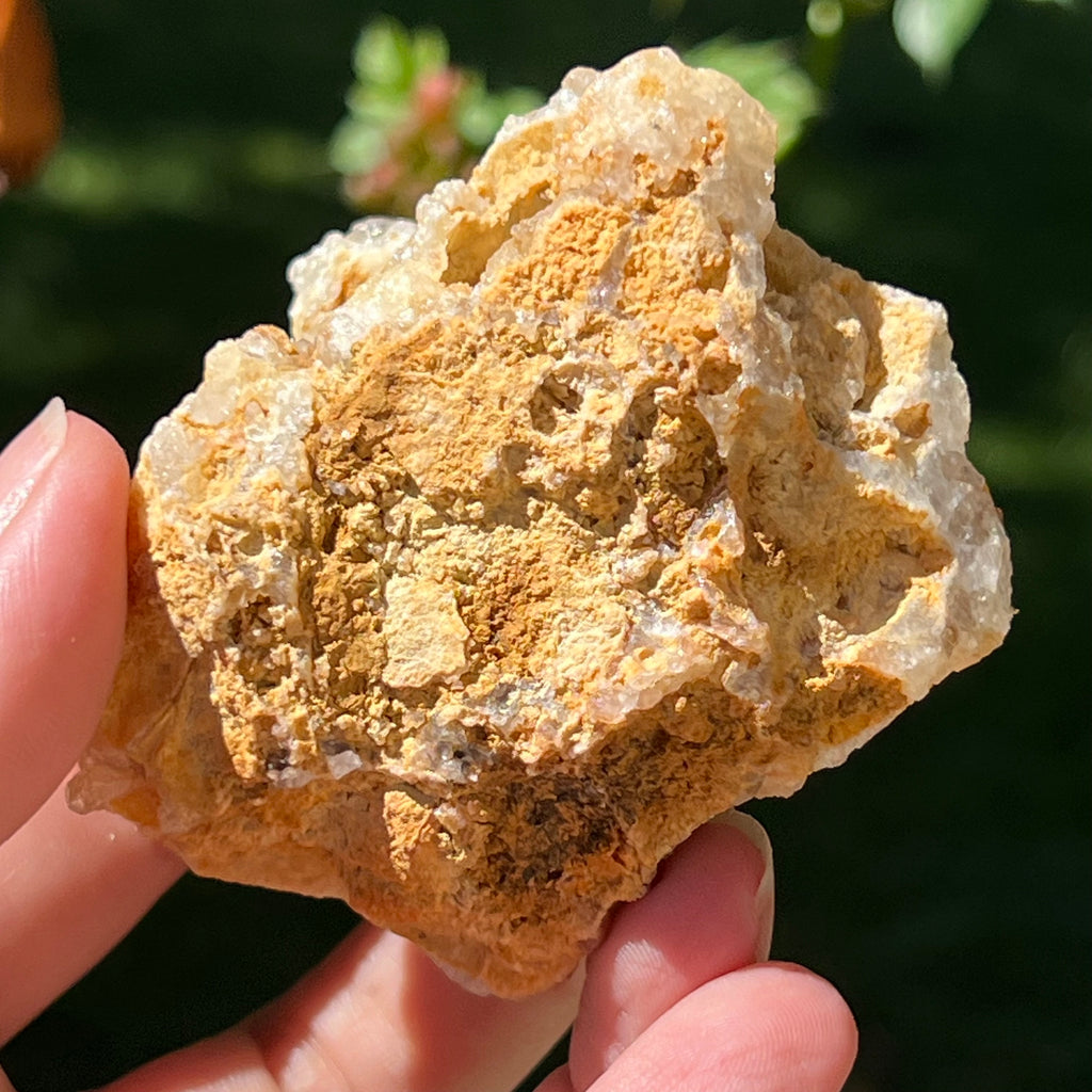 Cluster cuart lamaie Zambia, golden healer model Lm12, pietre semipretioase - druzy.ro 4
