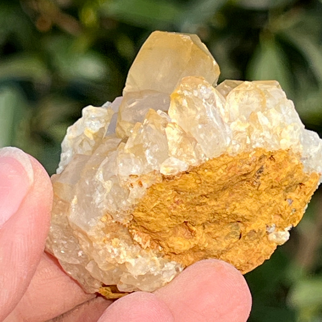 Cluster cuart lamaie Zambia, golden healer model 55, pietre semipretioase - druzy.ro 3 