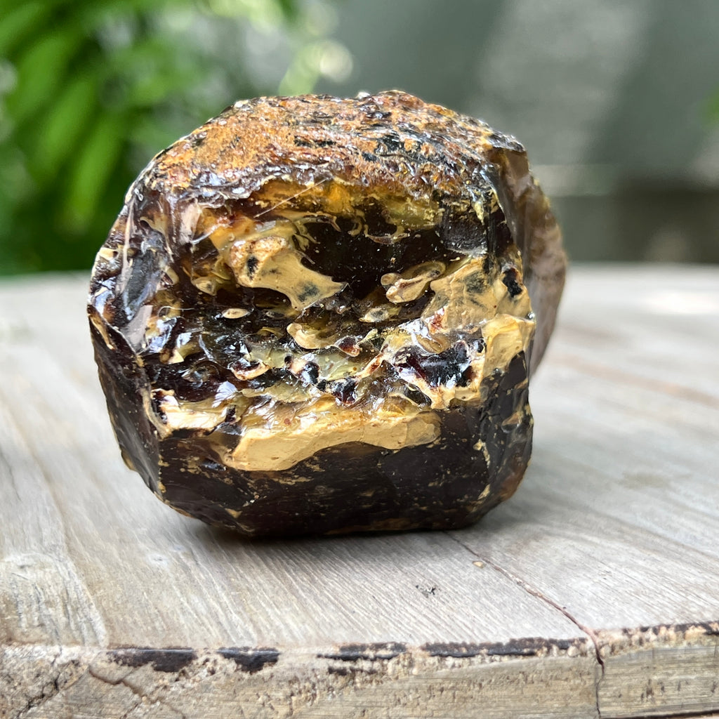 Chihlimbar fosil din Indonezia – Rășină naturală | Model 4, pietre semipretioase - druzy.ro 3 
