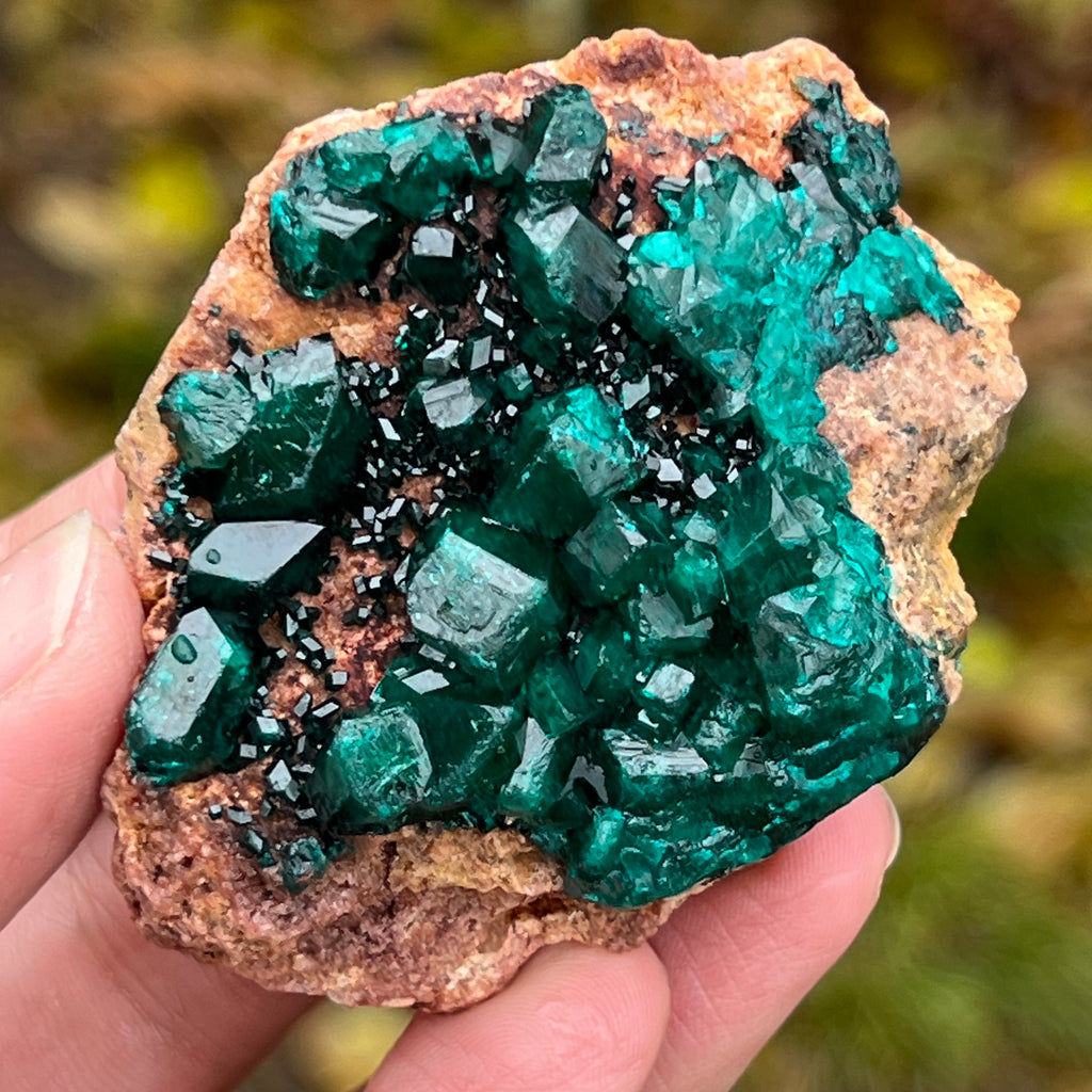 Dioptaz cluster din Congo model 8, pietre semipretioase - druzy.ro 1 