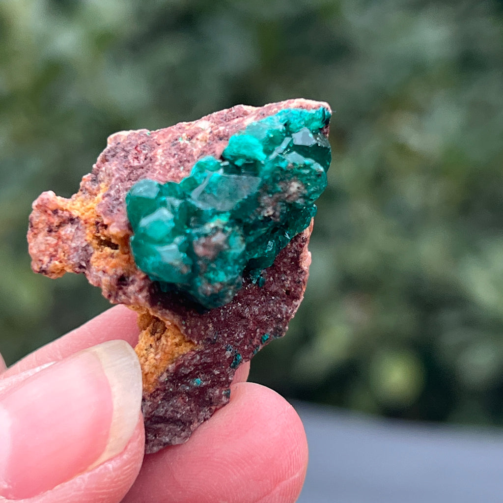 Dioptaz cluster din Congo model 40, pietre semipretioase - druzy.ro 3 