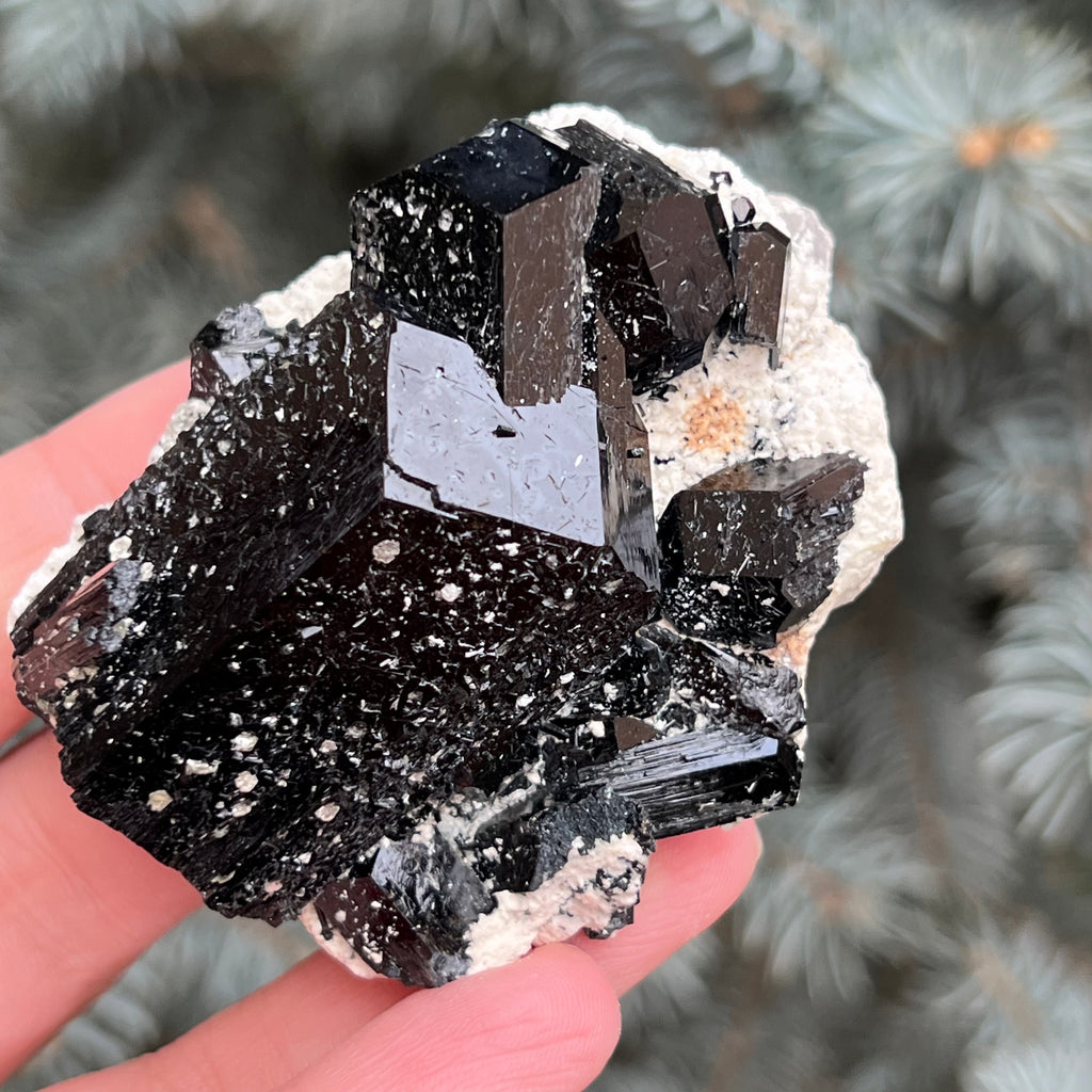 Cluster turmalina neagra model 1 din Erongo, Namibia, druzy.ro, cristale 3