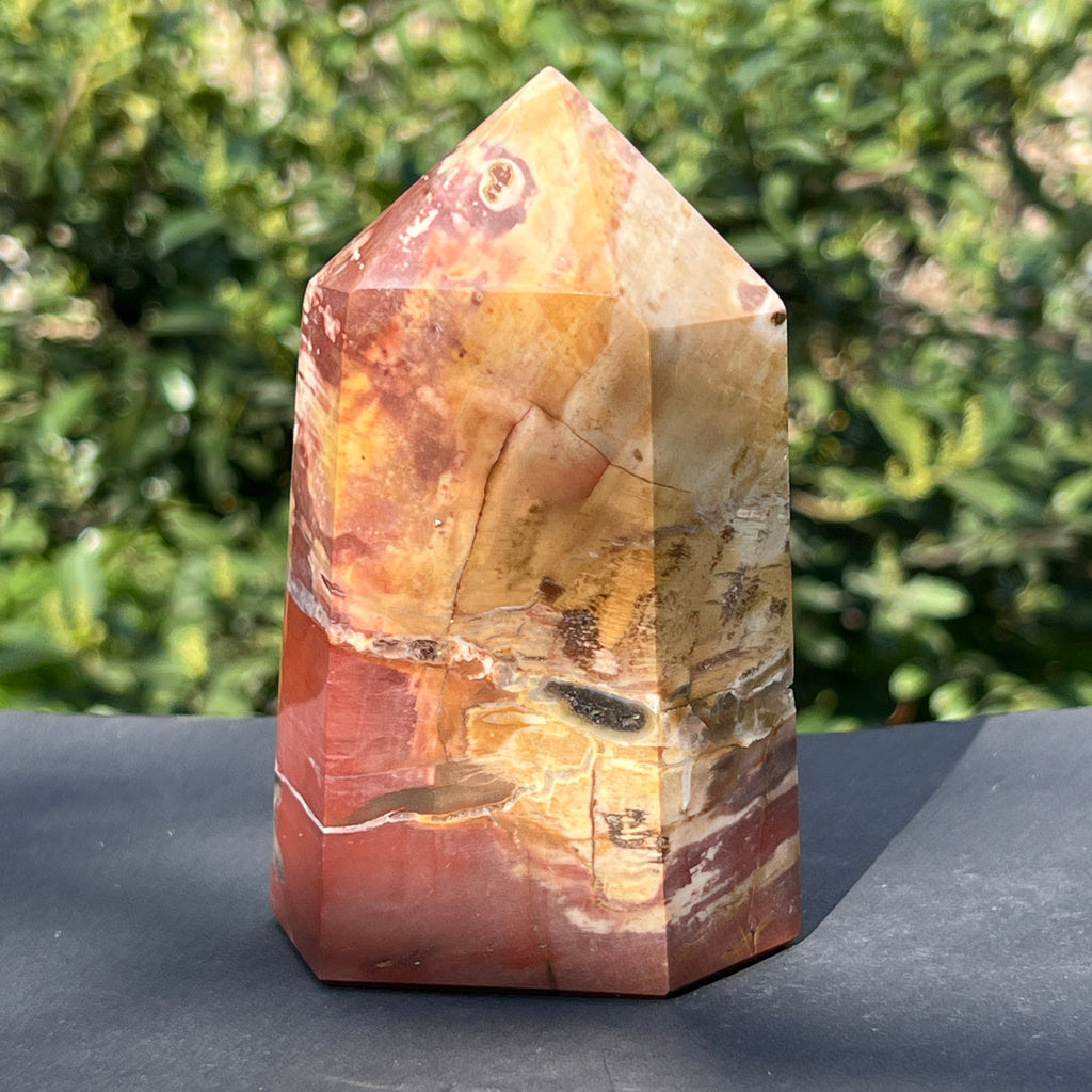 Obelisc lemn pietrificat m1, pietre semipretioase - druzy.ro 5 