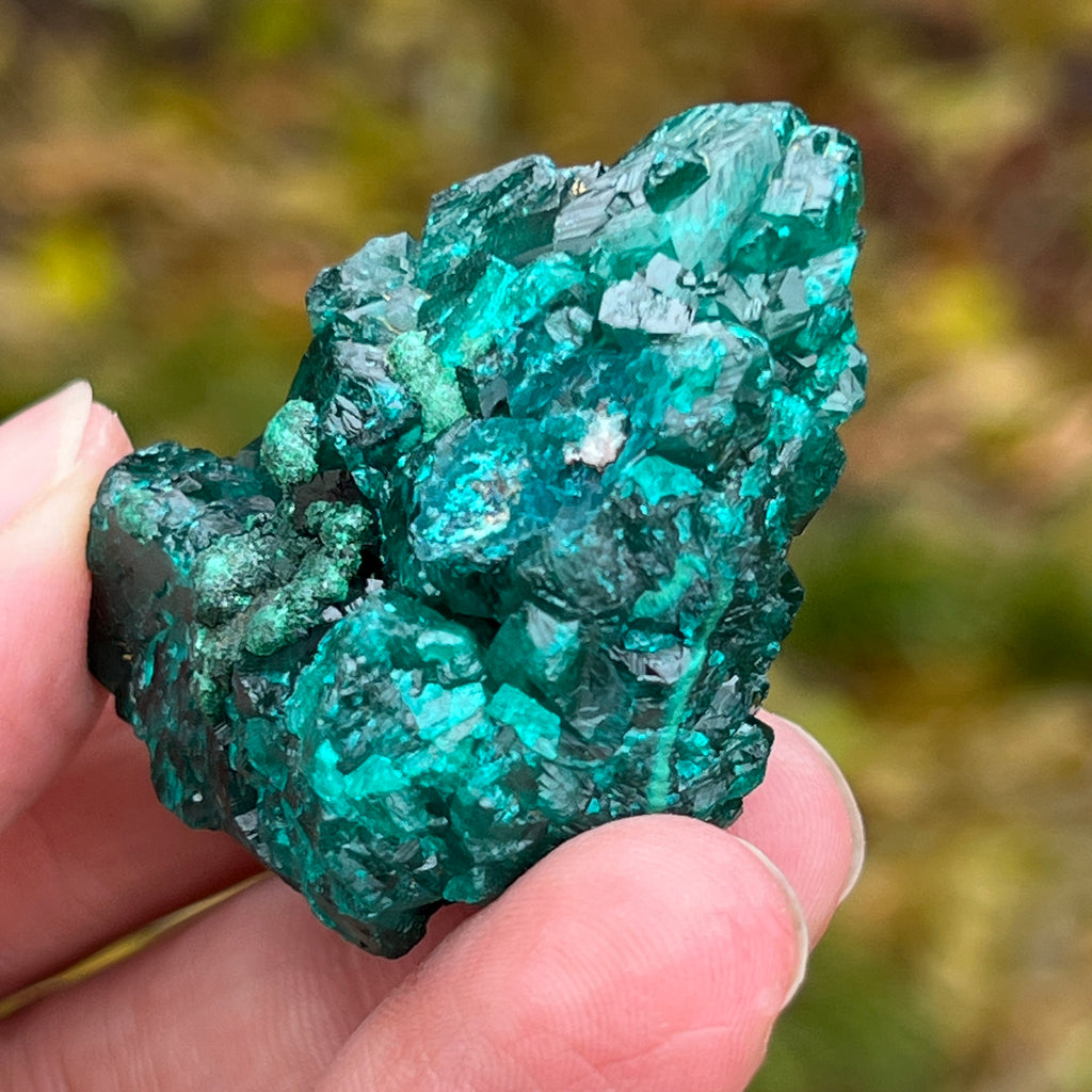 Dioptaz cluster din Congo model 5, pietre semipretioase - druzy.ro 6 