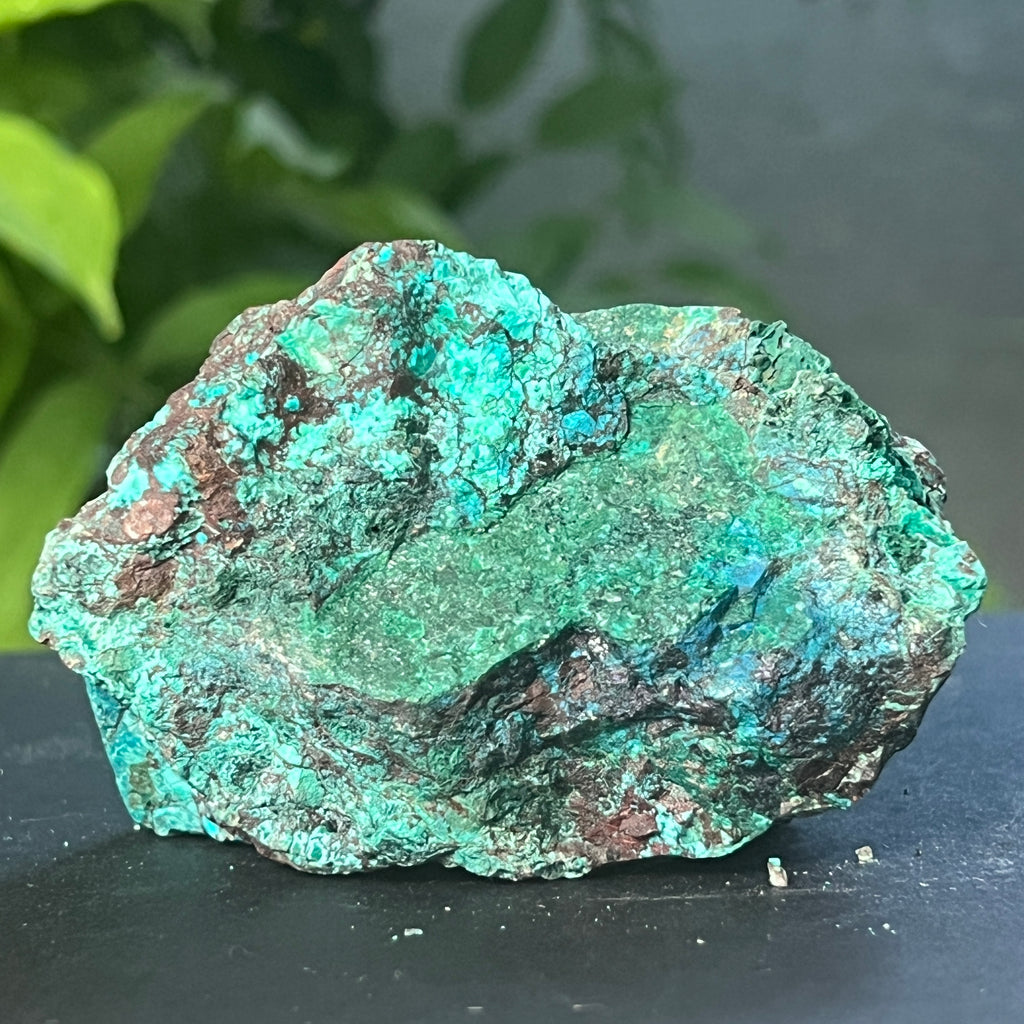 Piatra bruta Shattuckite m8, pietre semipretioase - druzy.ro 13 