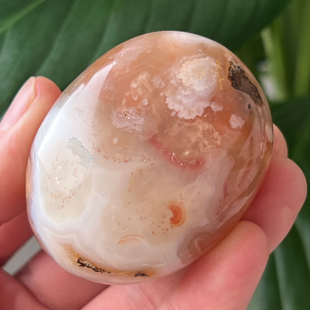 Palmstone agat coral floare rosu md11, pietre semipretioase - druzy.ro 1 