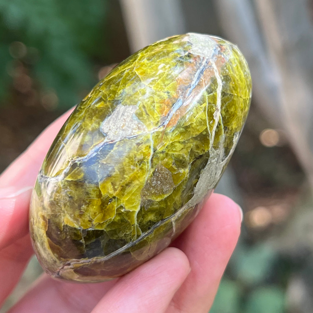 Opal verde palmstone m14, pietre semipretioase - druzy.ro 7 