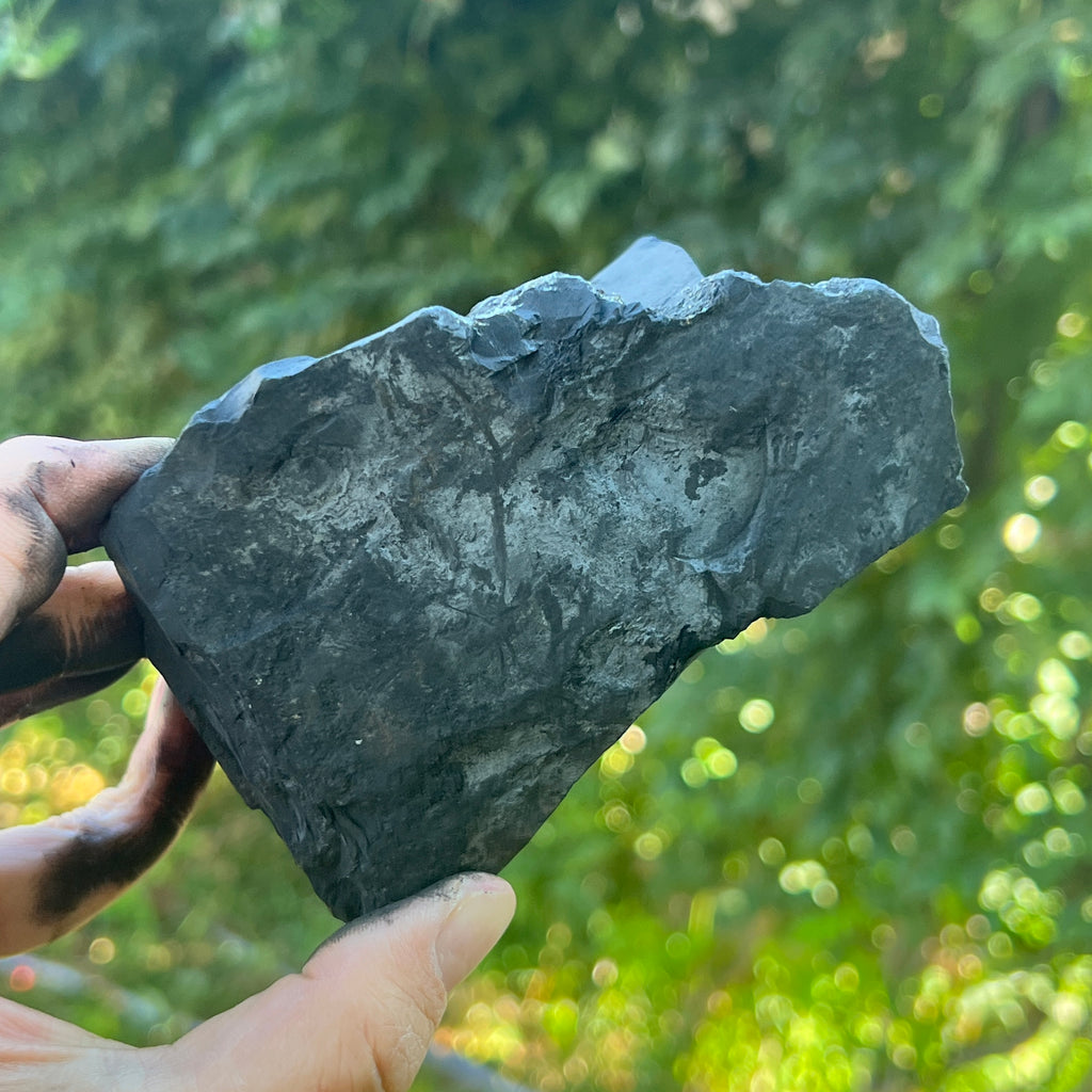 Shungit piatra bruta XXL model 6, pietre semipretioase - druzy.ro 5 