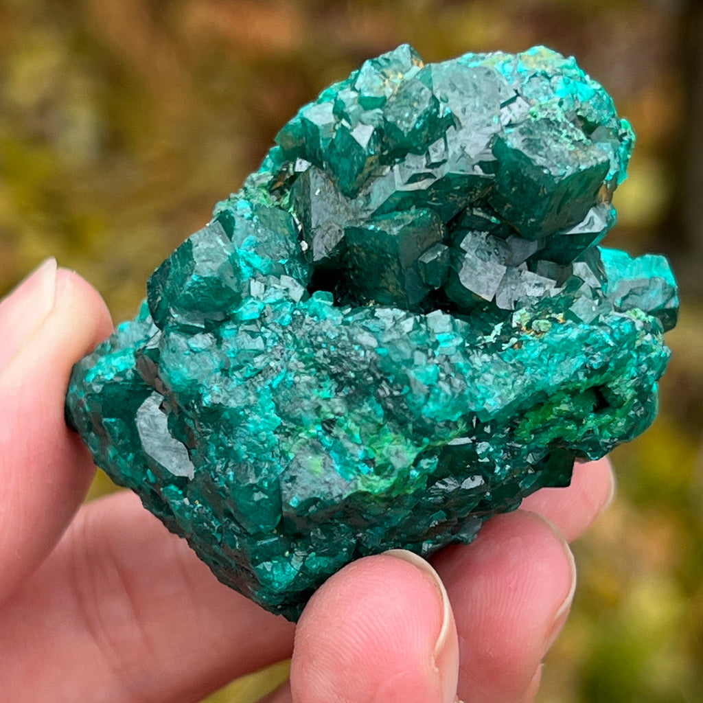 Dioptaz cluster din Congo model 10, pietre semipretioase - druzy.ro 15 