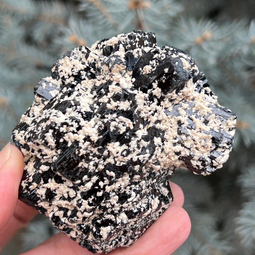 Cluster turmalina neagra model 4 din Erongo, Namibia, druzy.ro, cristale 1