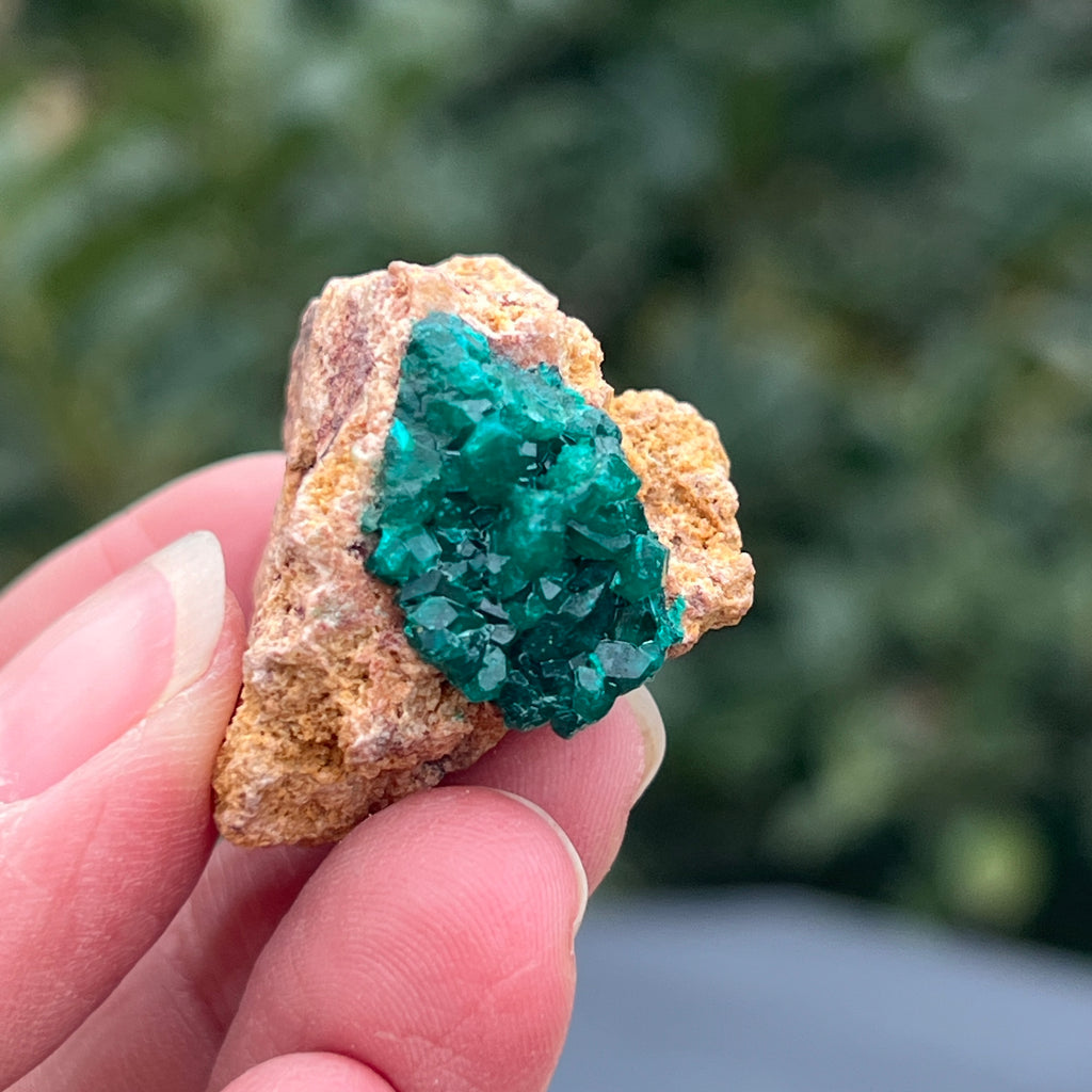 Dioptaz cluster din Congo model 37, pietre semipretioase - druzy.ro 1 