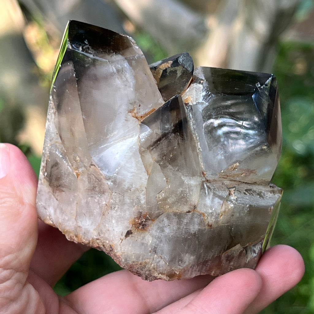 Specimen cluster cuart fumuriu m7, pietre semipretioase - druzy.ro 3 