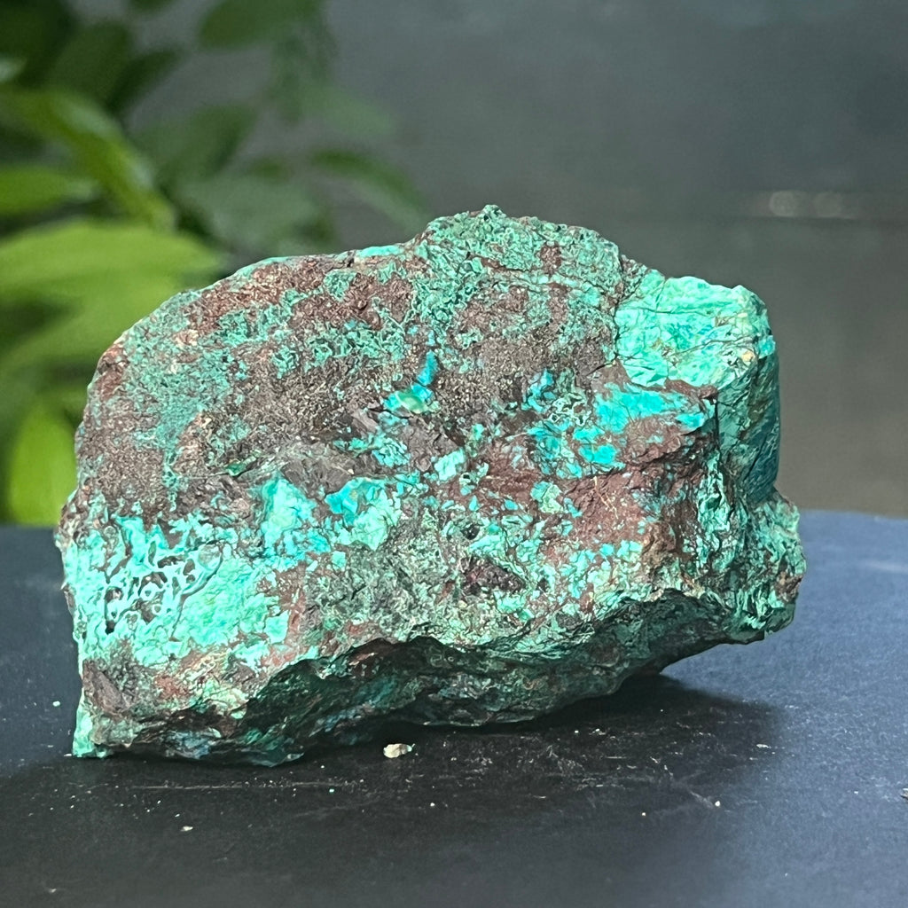 Piatra bruta Shattuckite m8, pietre semipretioase - druzy.ro 8 