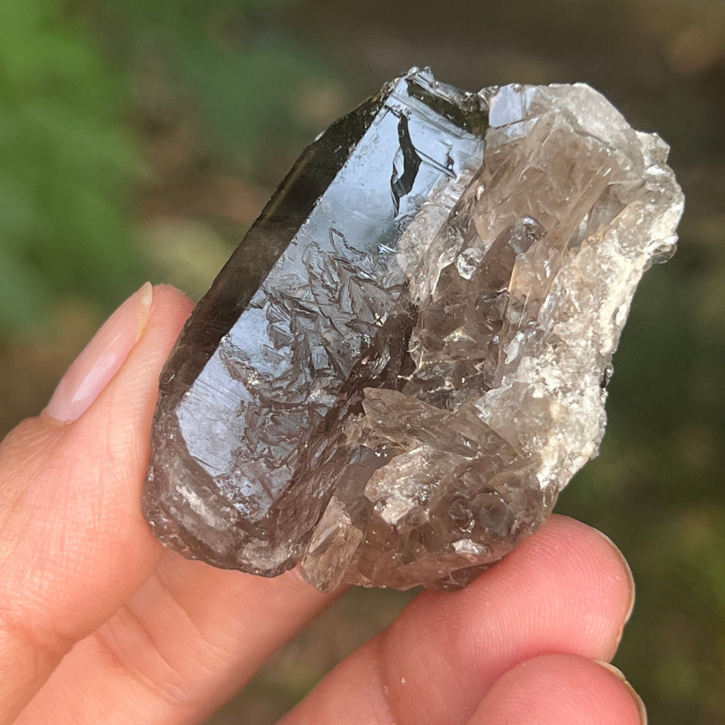 Cluster cuart fumuriu din Brazilia m4, pietre semipretioase - druzy.ro 3 
