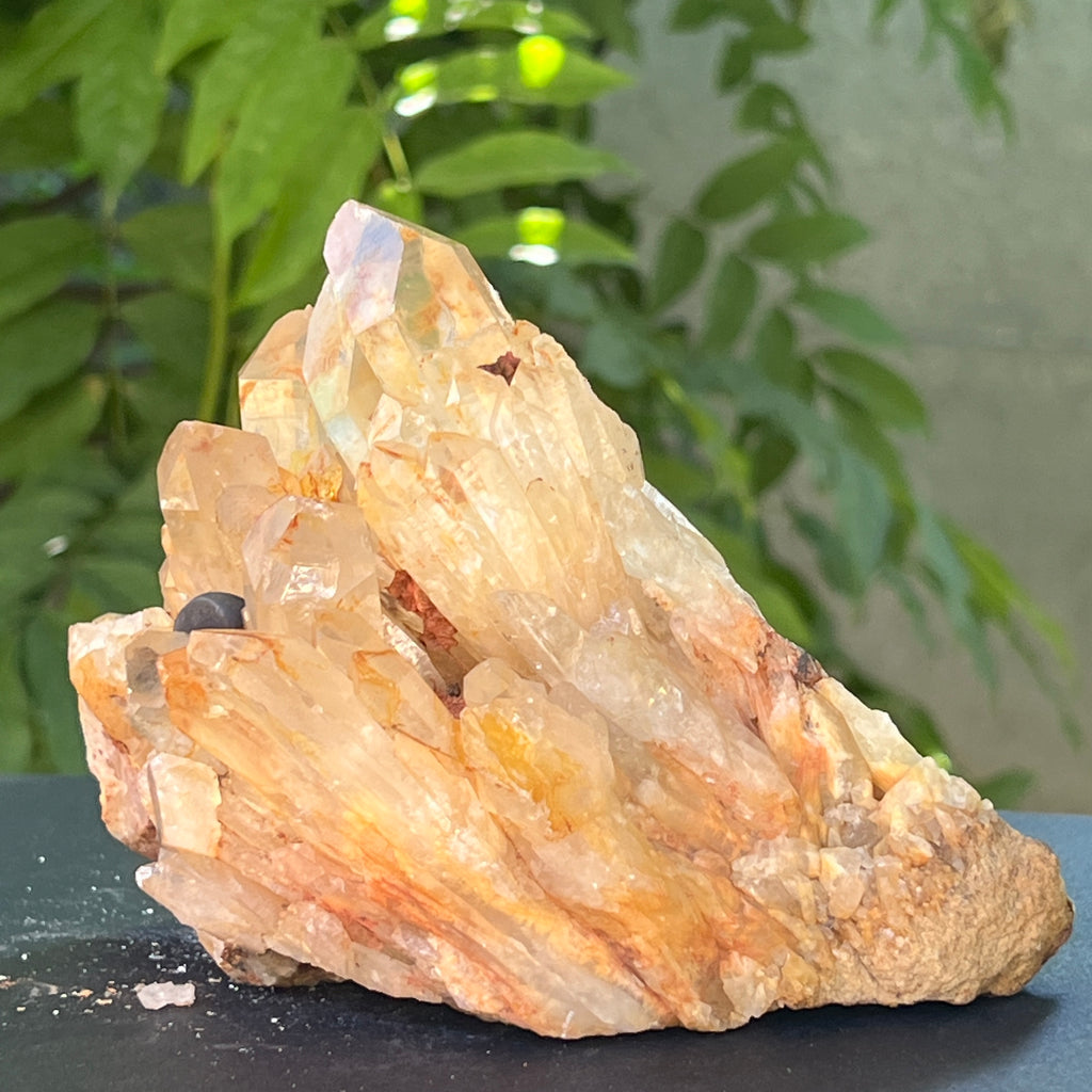 Citrin fumuriu din Congo – specimen natural, netratat | Model 8, pietre semipretioase - druzy.ro 7 