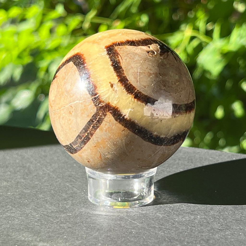 Septaria sfera 6 cm model 5, pietre semipretioase - druzy.ro 4