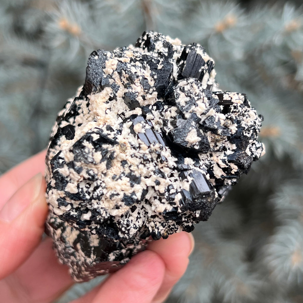Cluster turmalina neagra model 4 din Erongo, Namibia, druzy.ro, cristale 5