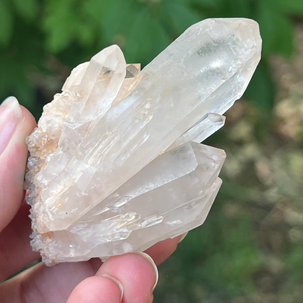 Cluster cuart incolor, floare de mina m19, pietre semipretioase - druzy.ro 8 