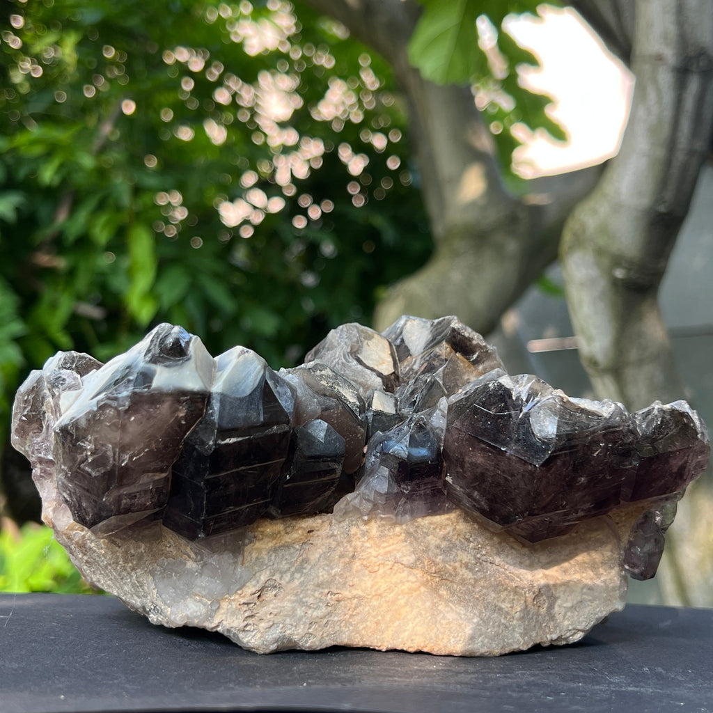 Specimen cluster cuart fumuriu m2, pietre semipretioase - druzy.ro 1 