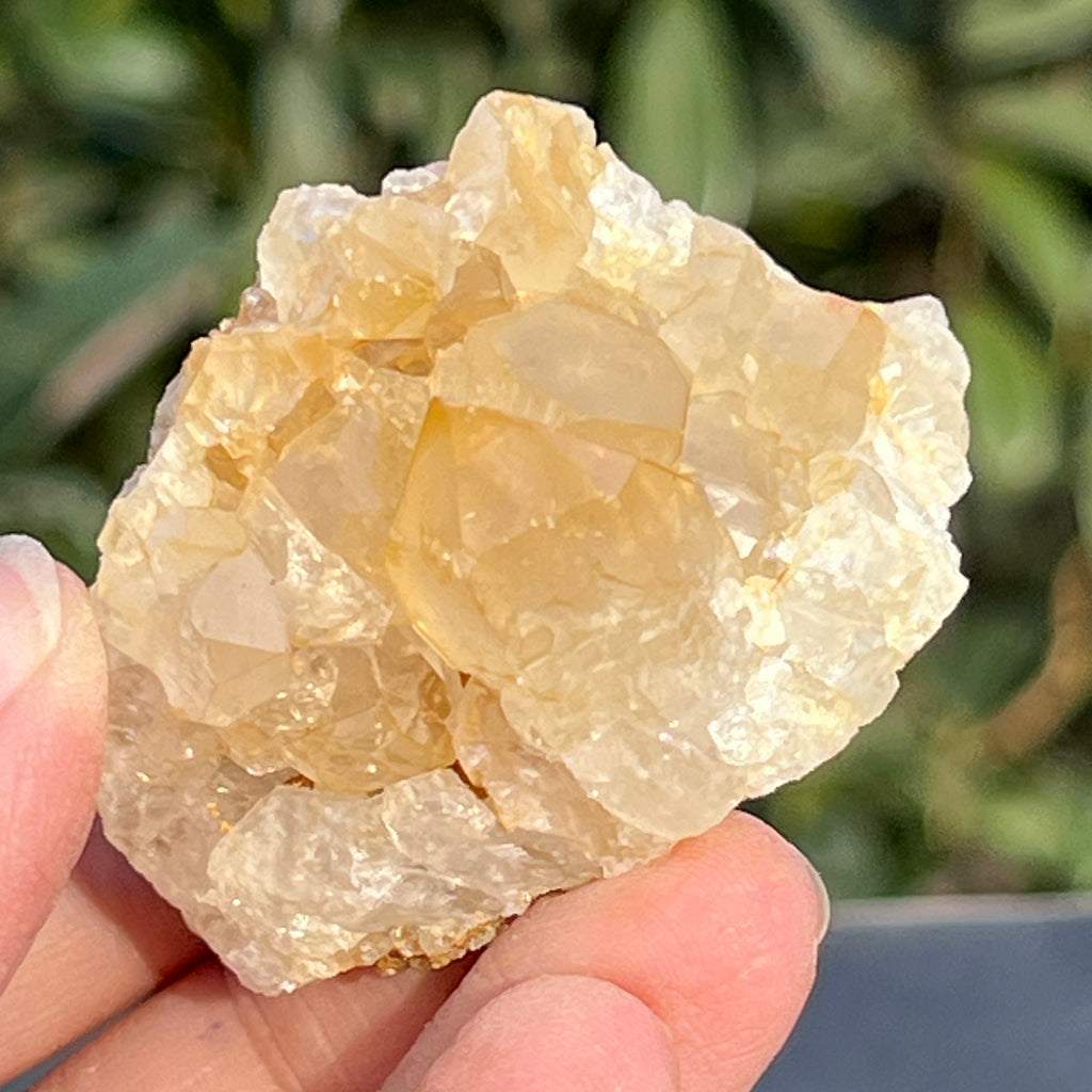 Cluster cuart lamaie Zambia, golden healer model 55, pietre semipretioase - druzy.ro 4 