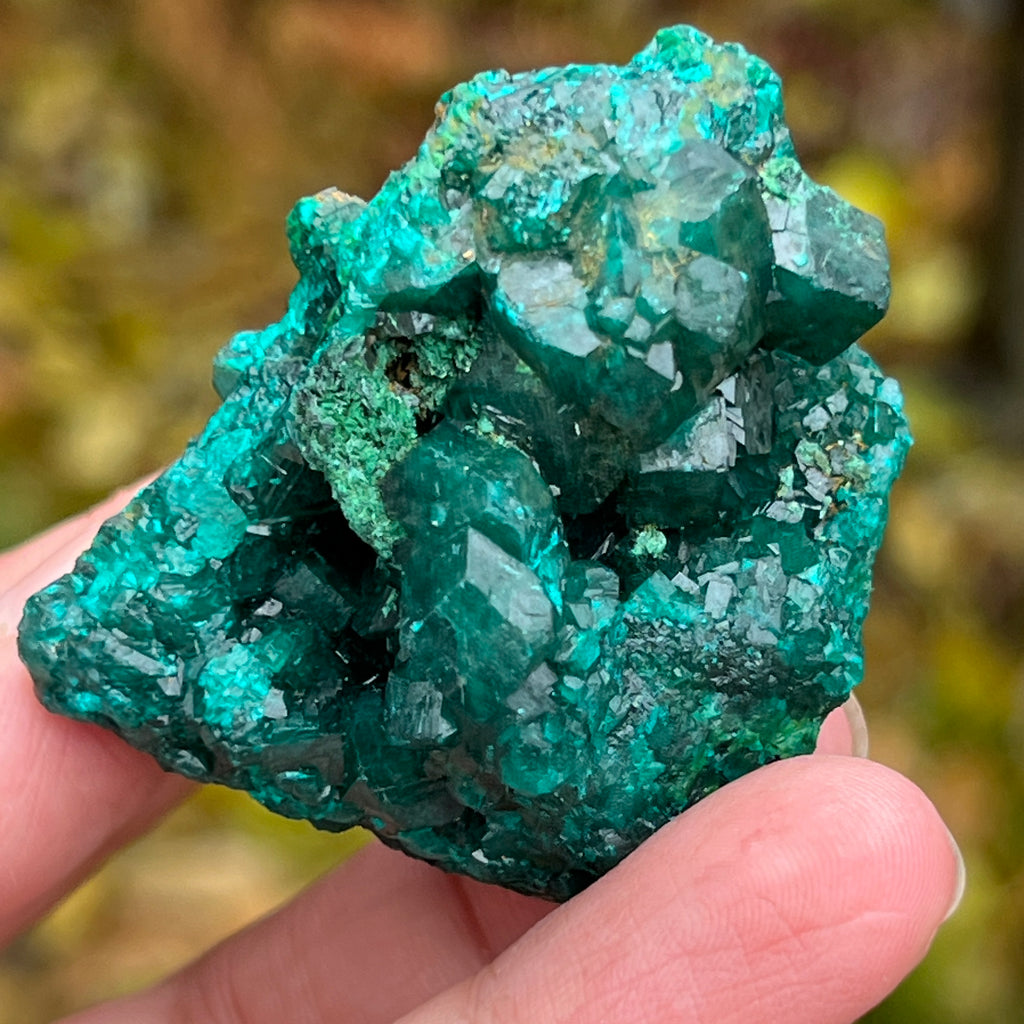 Dioptaz cluster din Congo model 10, pietre semipretioase - druzy.ro 11 