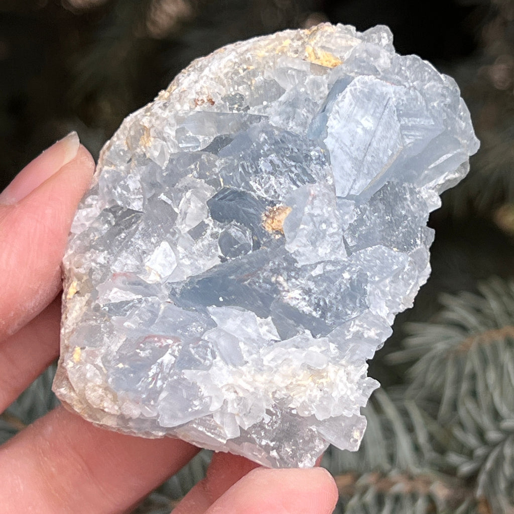 Celestit/ celestina cluster m3, pietre semipretioase - druzy.ro 4 