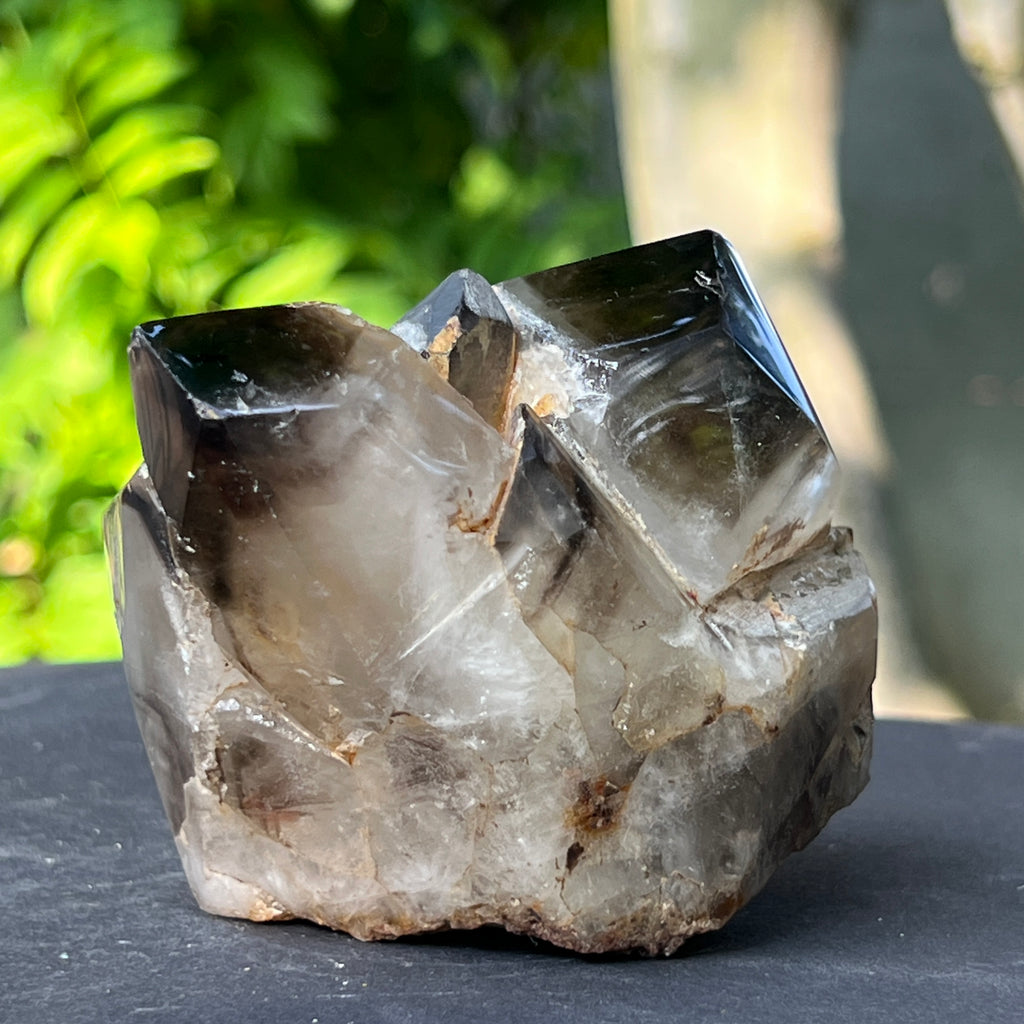 Specimen cluster cuart fumuriu m7, pietre semipretioase - druzy.ro 6 