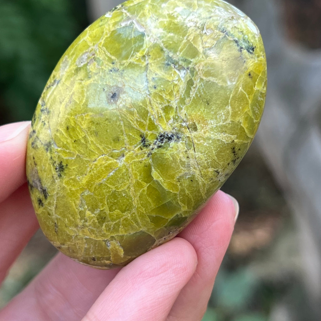 Opal verde palmstone m12, pietre semipretioase - druzy.ro 8 