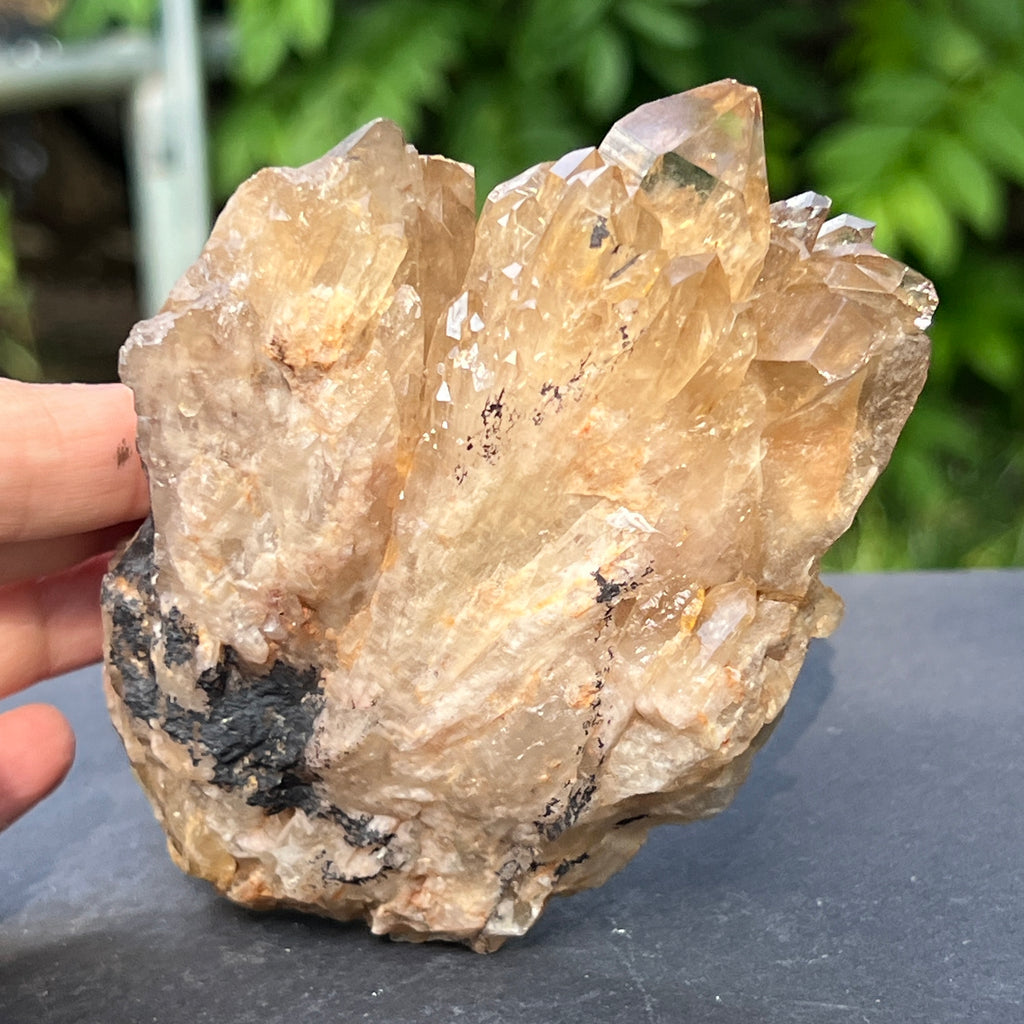 Citrin fumuriu din Congo – specimen natural, netratat | Model 6, pietre semipretioase - druzy.ro 1 
